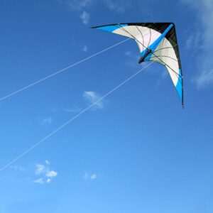 Unique Kites  48 Inch Blue Professional Dual Line Stunt Kite with Handle and Line for Exceptional Flying