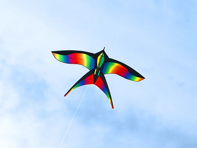 Colorful Rainbow Bird Kites for Kids with Nylon Construction and Snake Flying Line - Fun Children's Toy Kites