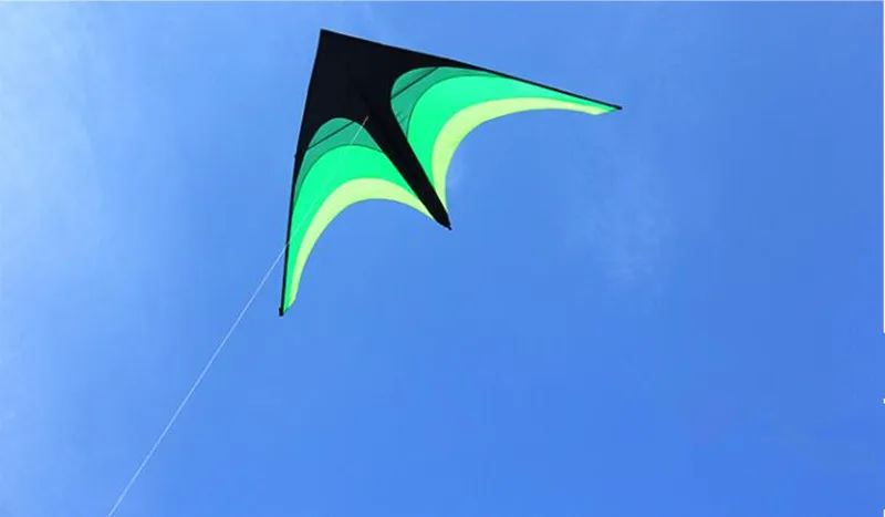 Eagle Bird Delta Kite for Adults - Large Nylon Kite with Kite Reel - Ideal Flying Toy for Children Bird Kite