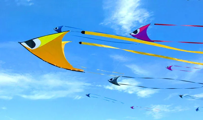 Large Eagle Kite for Adults - High-Flying City Elf Kite with Ripstop Nylon Fabric - Ideal for Kite Flying Enthusiasts - Cometas Infantiles Cometa Experience