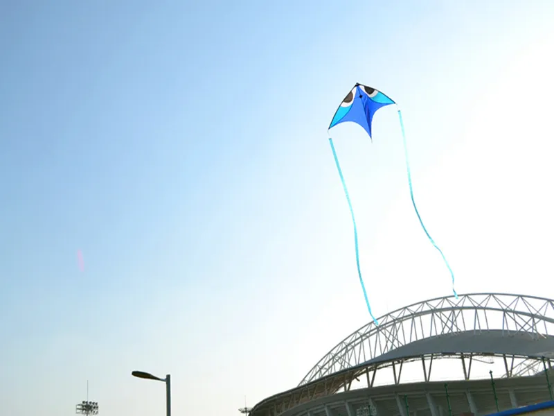 Large Eagle Kite for Adults - High-Flying City Elf Kite with Ripstop Nylon Fabric - Ideal for Kite Flying Enthusiasts - Cometas Infantiles Cometa Experience