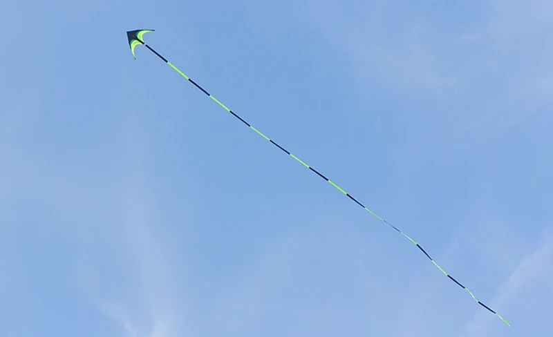 Eagle Bird Delta Kite for Adults - Large Nylon Kite with Kite Reel - Ideal Flying Toy for Children Bird Kite
