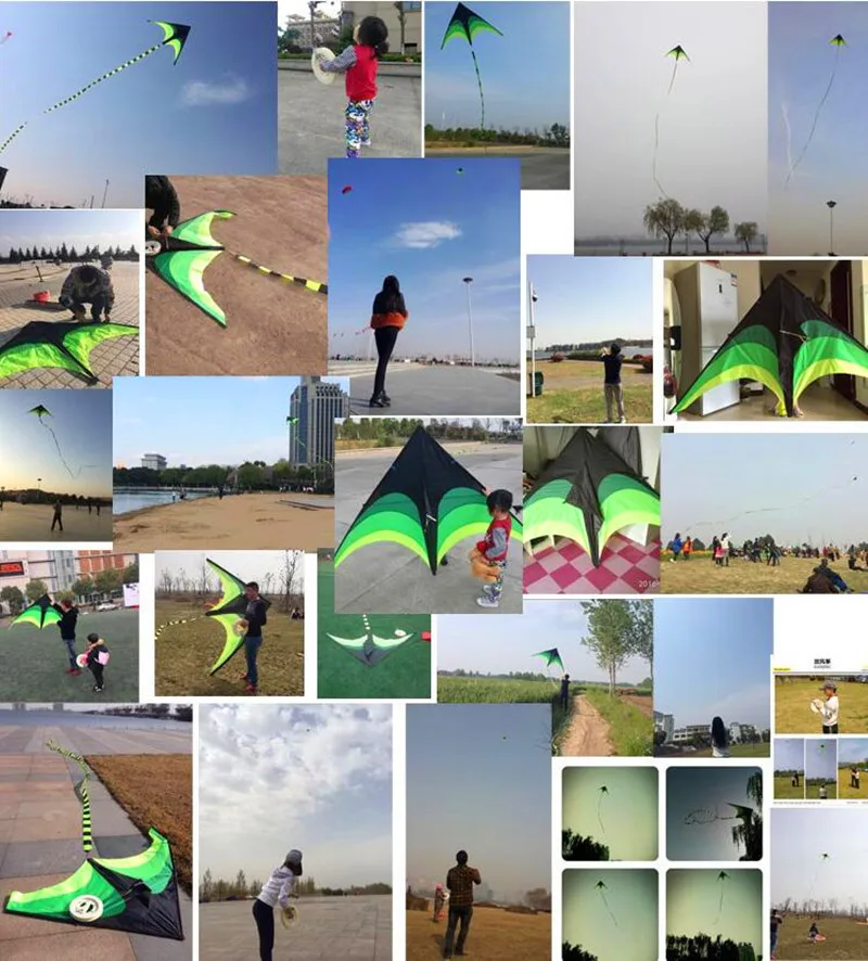 Eagle Bird Delta Kite for Adults - Large Nylon Kite with Kite Reel - Ideal Flying Toy for Children Bird Kite
