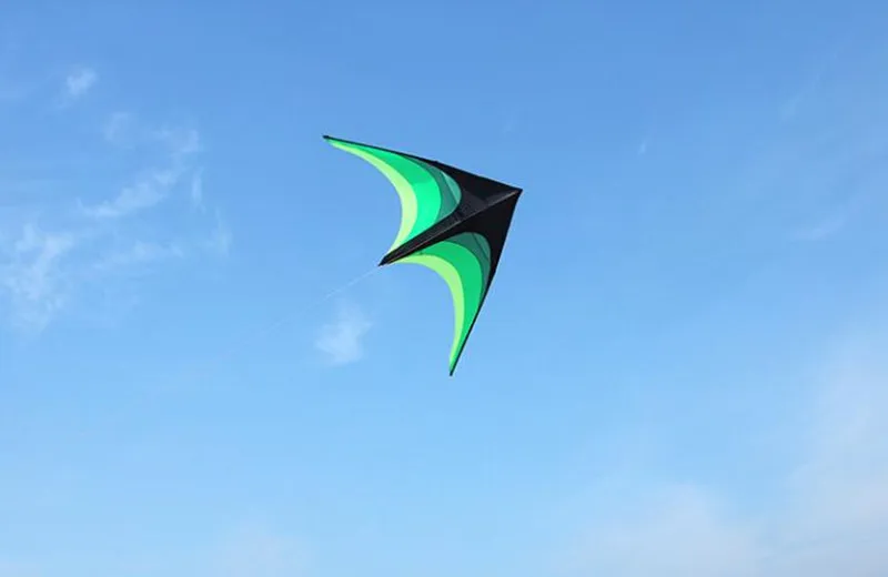 Eagle Bird Delta Kite for Adults - Large Nylon Kite with Kite Reel - Ideal Flying Toy for Children Bird Kite