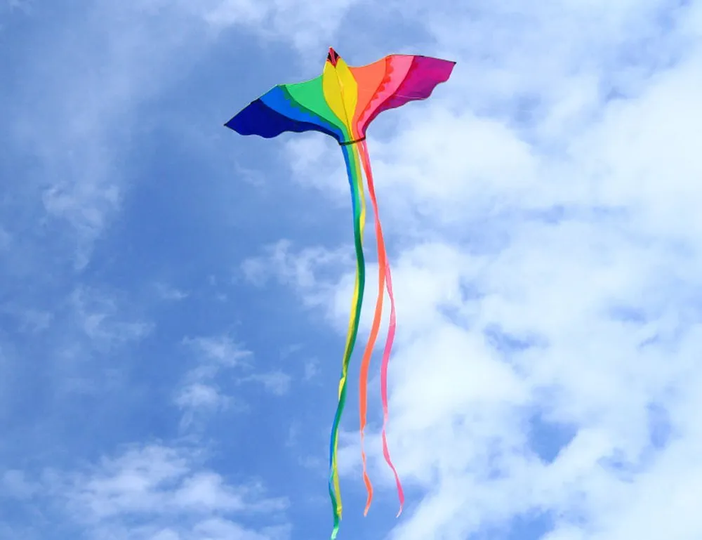 Huge Beginner Phoenix Kites for Kids and Adults - 74-Inch with Strong Long Colorful Tail