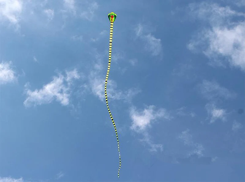 Outdoor Toys for Adults - Cobra Snake Kite with Flying Line - Bird Kites, Eagle Kite, Animal Wei Kite
