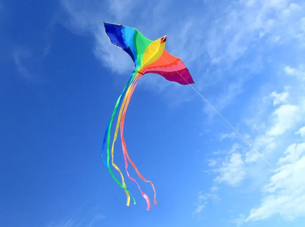 Huge Beginner Phoenix Kites for Kids and Adults - 74-Inch with Strong Long Colorful Tail