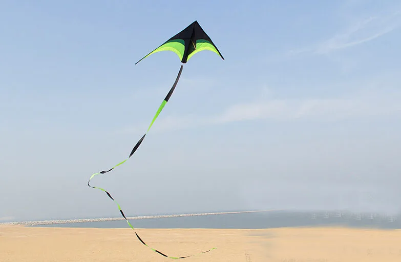 Eagle Bird Delta Kite for Adults - Large Nylon Kite with Kite Reel - Ideal Flying Toy for Children Bird Kite