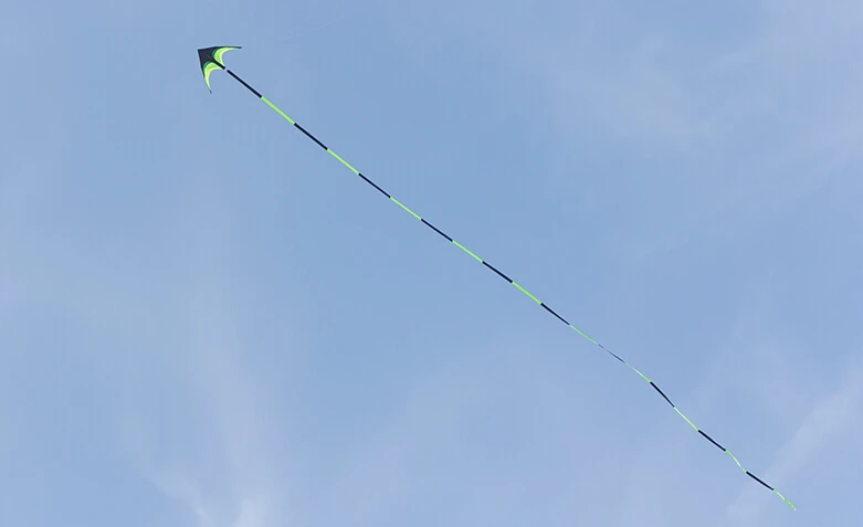 Eagle Bird Delta Kite for Adults - Large Nylon Kite with Kite Reel - Ideal Flying Toy for Children Bird Kite