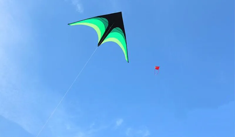 Eagle Bird Delta Kite for Adults - Large Nylon Kite with Kite Reel - Ideal Flying Toy for Children Bird Kite