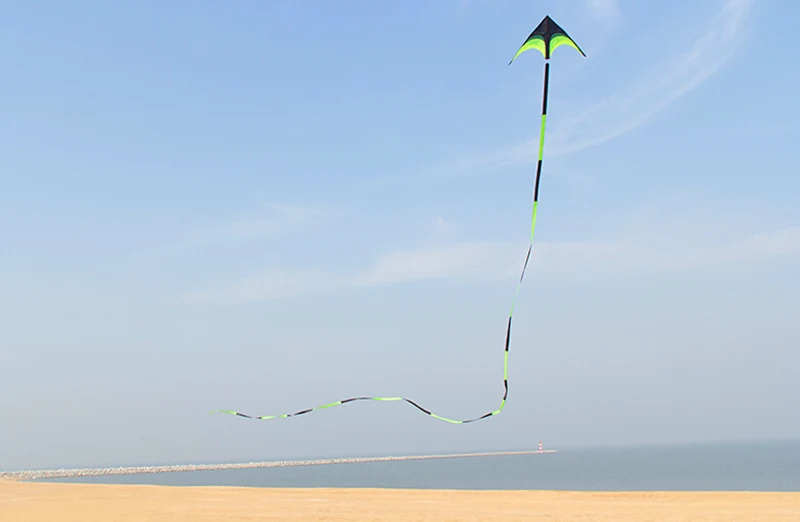 Eagle Bird Delta Kite for Adults - Large Nylon Kite with Kite Reel - Ideal Flying Toy for Children Bird Kite
