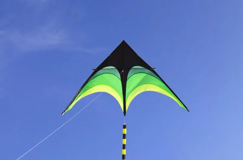 Eagle Bird Delta Kite for Adults - Large Nylon Kite with Kite Reel - Ideal Flying Toy for Children Bird Kite
