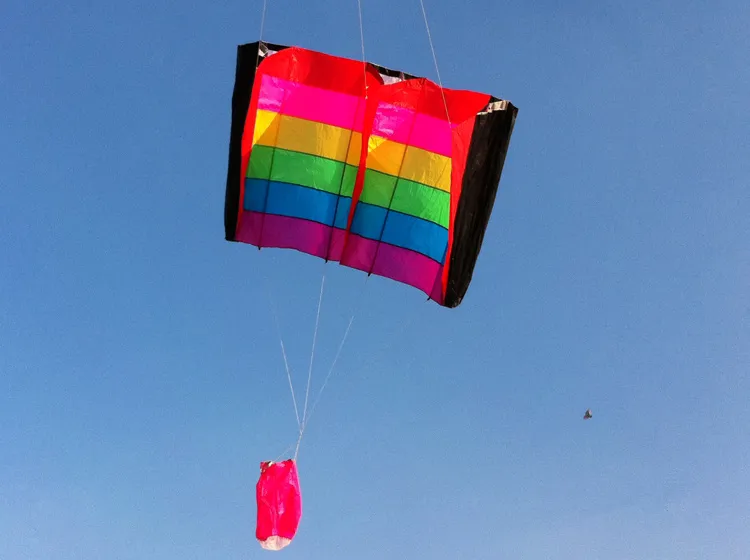 Single Line Rainbow Kite with Handle and String - Ideal for Outdoor Fun Sports, Easy and Good Flying Experience