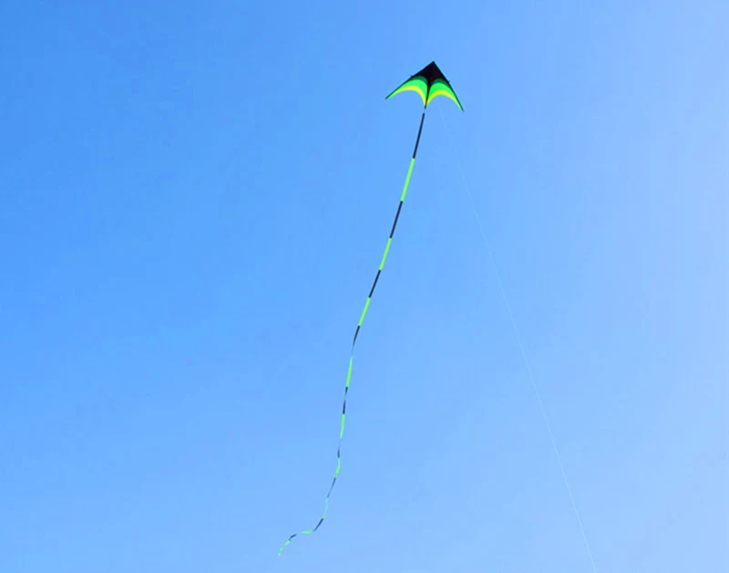 Eagle Bird Delta Kite for Adults - Large Nylon Kite with Kite Reel - Ideal Flying Toy for Children Bird Kite
