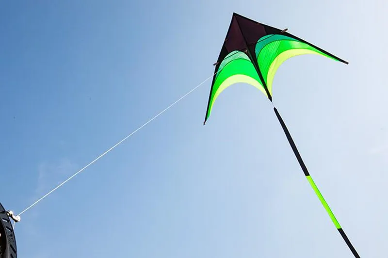 Eagle Bird Delta Kite for Adults - Large Nylon Kite with Kite Reel - Ideal Flying Toy for Children Bird Kite