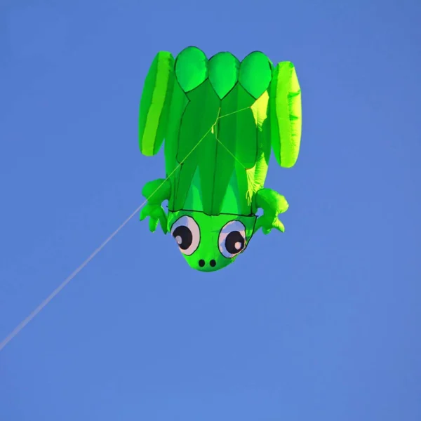 Sports Beach Frog Kite - 3D Single Line Software Design with Kite Handle and String for Easy Flying