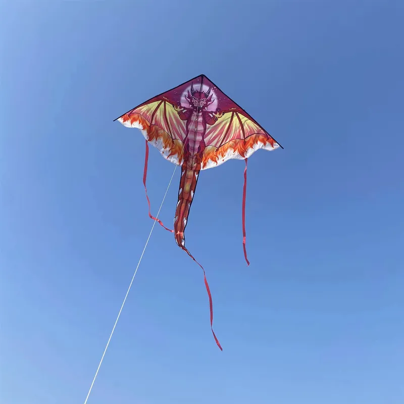 Outdoor Toys for Kids - Dragon Kites Flying Set - Fun and Colorful Children's Kites