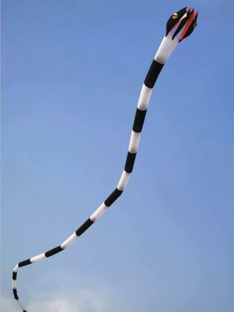 Inflatable Snake Kite - Large 60m Soft Kite with Nylon Ripstop, Alien Design, and Octopus Tail - Perfect for Outdoor Fun and Adventure