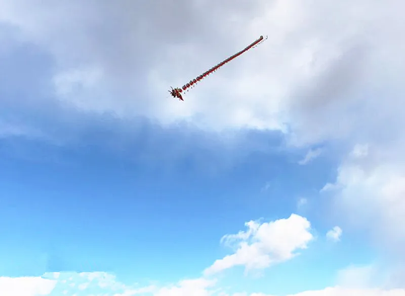 Kite Set for Adults - Traditional Chinese Dragon Kite with Flying Handle Line - Premium Outdoor Game Toys for Enthusiasts