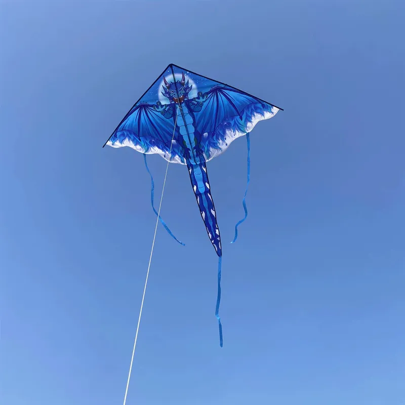 Outdoor Toys for Kids - Dragon Kites Flying Set - Fun and Colorful Children's Kites
