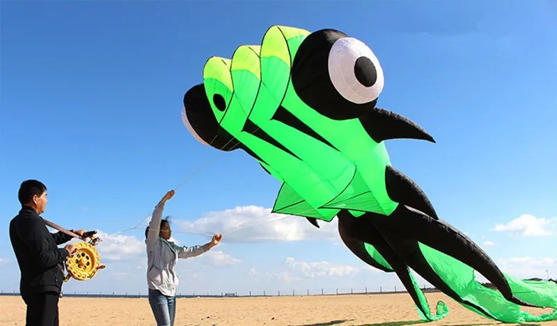Inflatable Fish Kite for Adults - Professional Goldfish Kite for Sport and Fun Flying - Large and Exciting Kite Experience