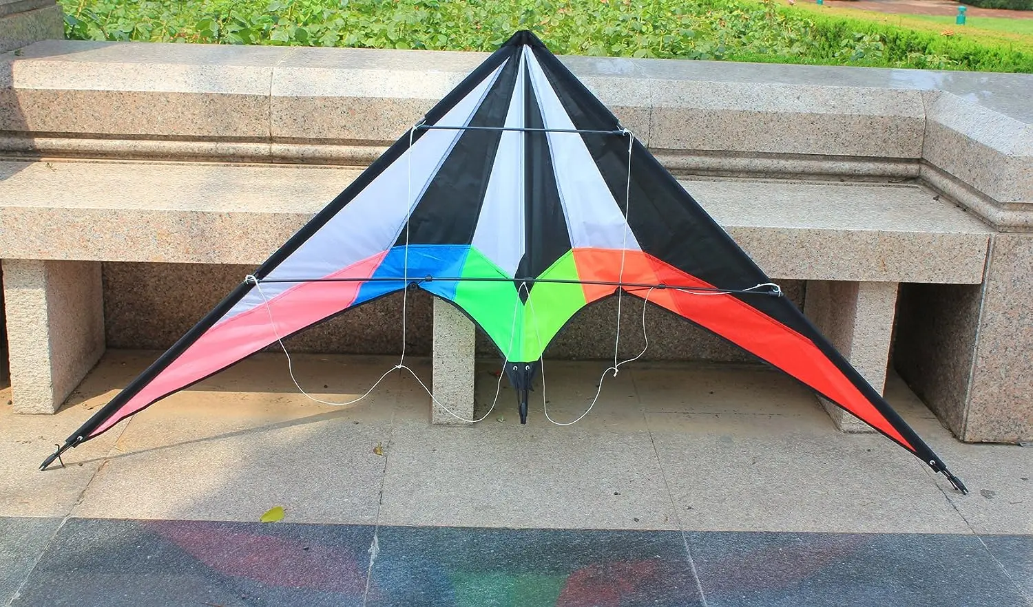 Good Flying 48 Inch Rainbow Professional Dual Line Stunt Kite - Complete with Handle and Line - Ultimate Bird Kite Experience