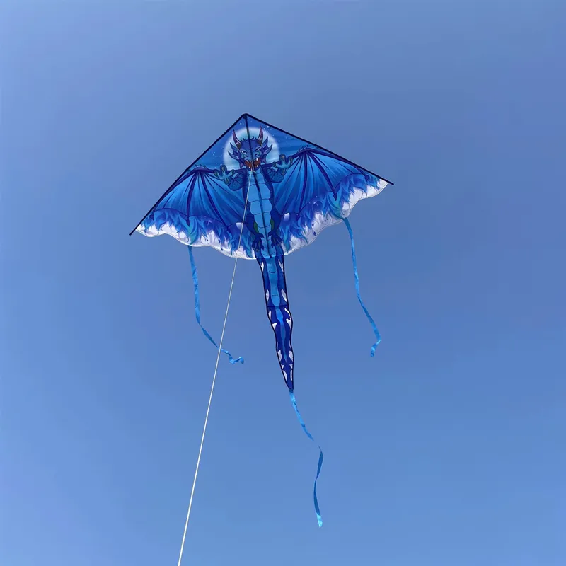 Outdoor Toys for Kids - Dragon Kites Flying Set - Fun and Colorful Children's Kites