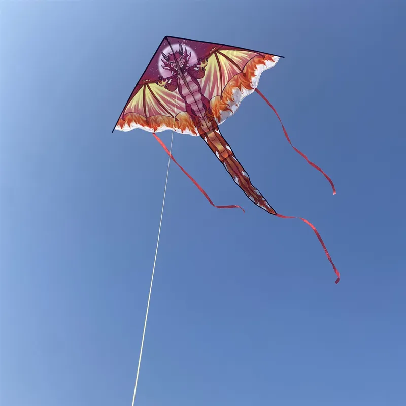 Outdoor Toys for Kids - Dragon Kites Flying Set - Fun and Colorful Children's Kites