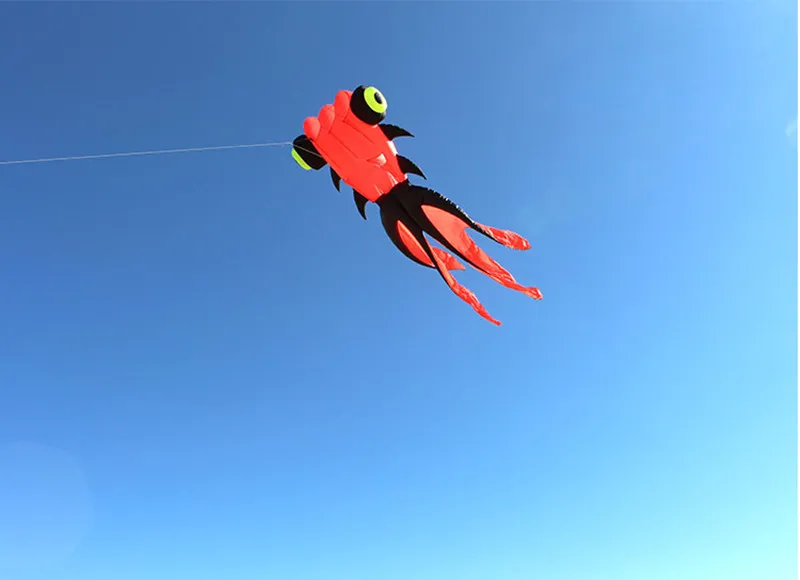 Inflatable Fish Kite for Adults - Professional Goldfish Kite for Sport and Fun Flying - Large and Exciting Kite Experience