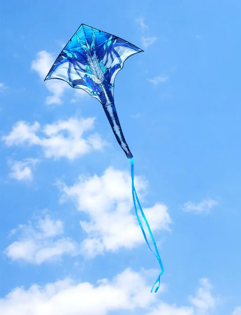 Outdoor Toys for Kids - Dragon Kites Flying Set - Fun and Colorful Children's Kites
