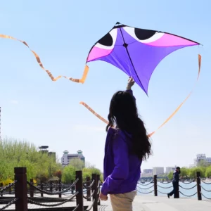 Large Eagle Kite for Adults - High-Flying City Elf Kite with Ripstop Nylon Fabric - Ideal for Kite Flying Enthusiasts - Cometas Infantiles Cometa Experience