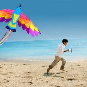 330cm Large Chinese Phoenix Kite / Eagle Animal Kite with Flying Tools and Accessories