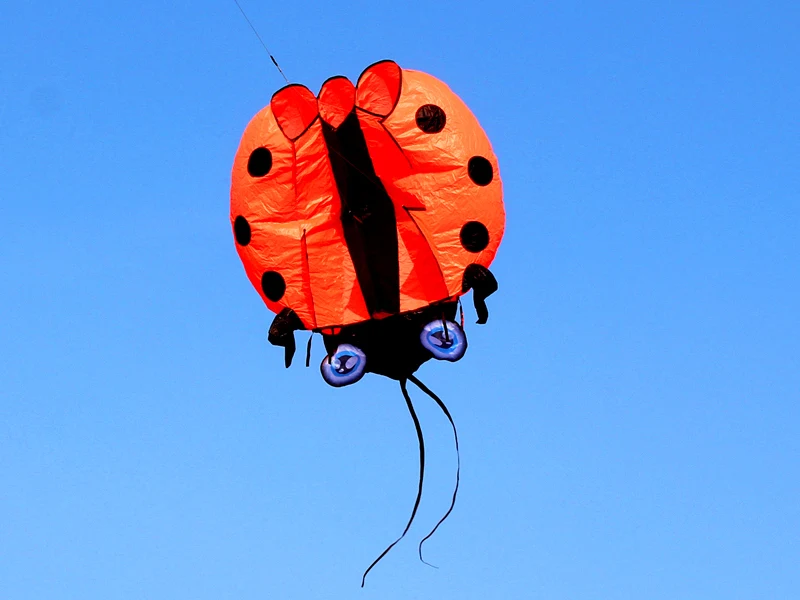 3D Large Ladybug Soft Kite - Kitesurf Designs for Kids' Outdoor Garden Fun ladybug kite