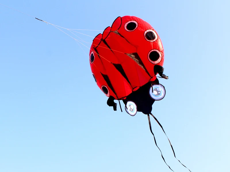 3D Large Ladybug Soft Kite - Kitesurf Designs for Kids' Outdoor Garden Fun ladybug kite