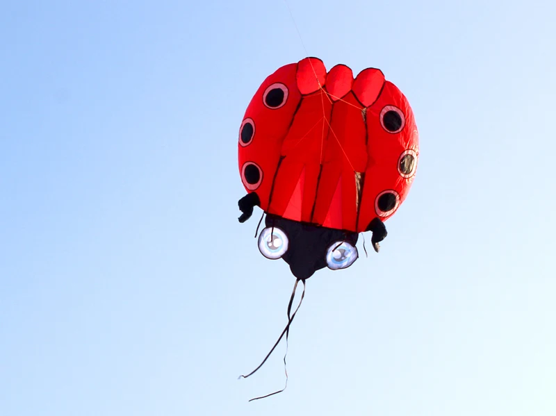 3D Large Ladybug Soft Kite - Kitesurf Designs for Kids' Outdoor Garden Fun ladybug kite