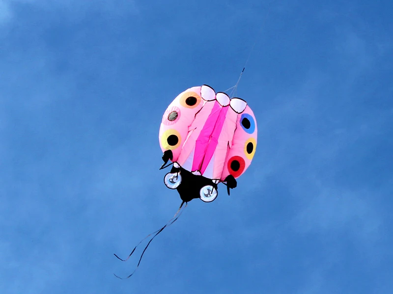 3D Large Ladybug Soft Kite - Kitesurf Designs for Kids' Outdoor Garden Fun ladybug kite
