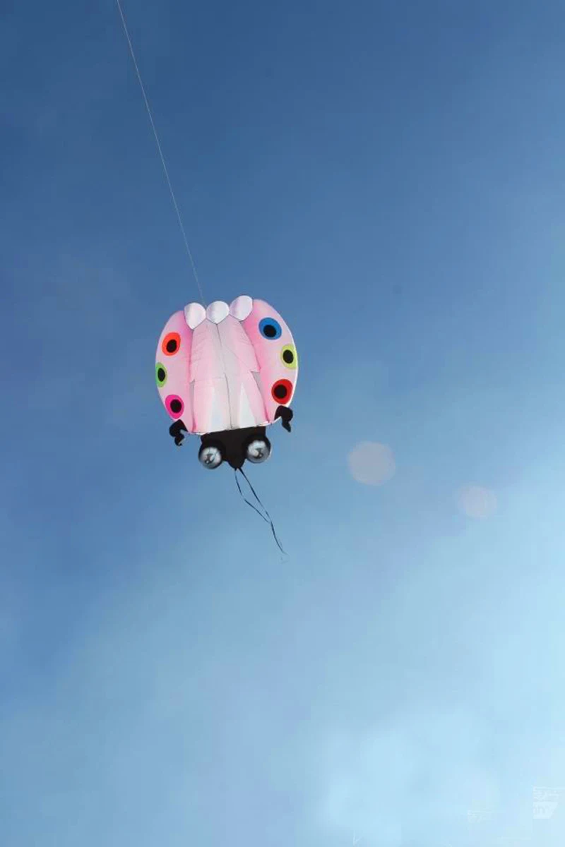 3D Large Ladybug Soft Kite - Kitesurf Designs for Kids' Outdoor Garden Fun ladybug kite