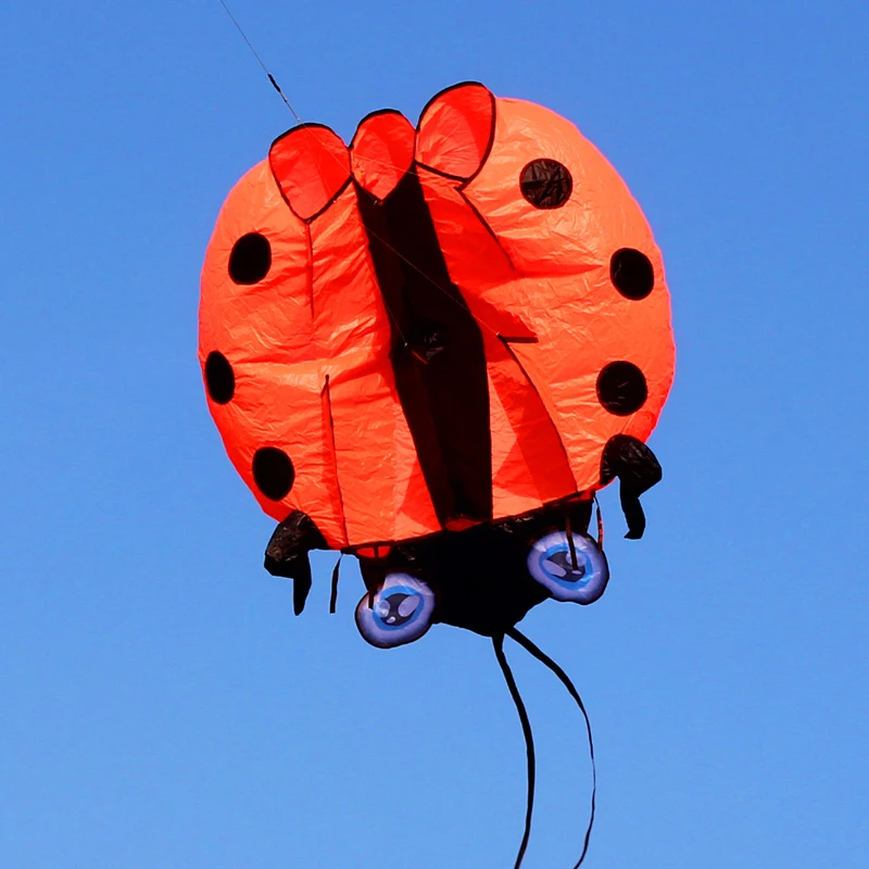 3D Large Ladybug Soft Kite - Kitesurf Designs for Kids' Outdoor Garden Fun ladybug kite