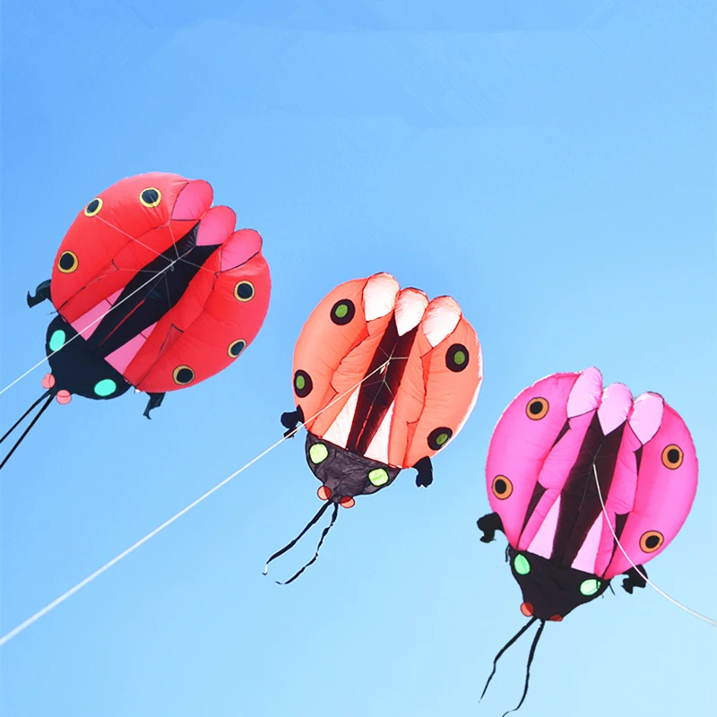 3D Large Ladybug Soft Kite - Kitesurf Designs for Kids' Outdoor Garden Fun ladybug kite