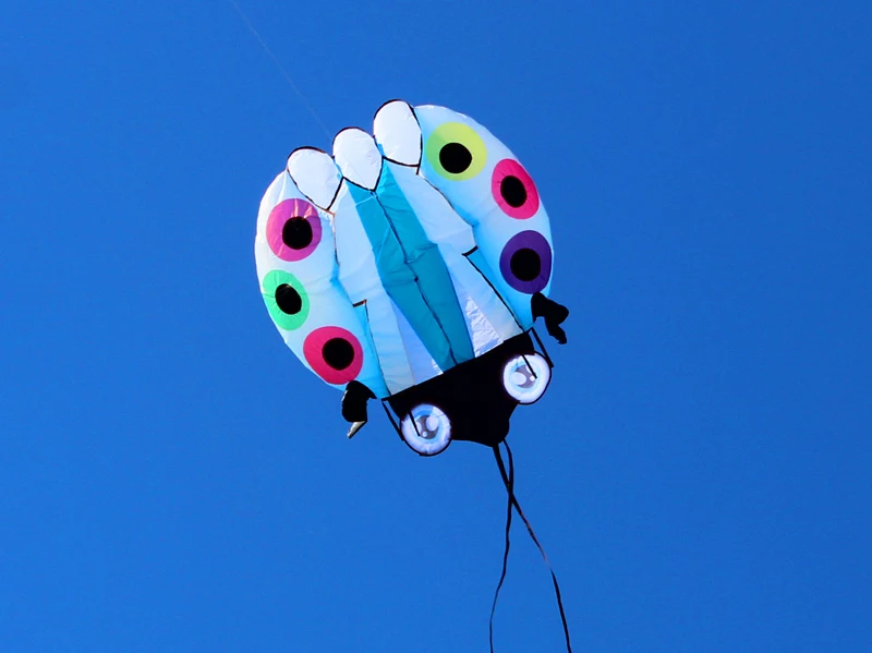 3D Large Ladybug Soft Kite - Kitesurf Designs for Kids' Outdoor Garden Fun ladybug kite