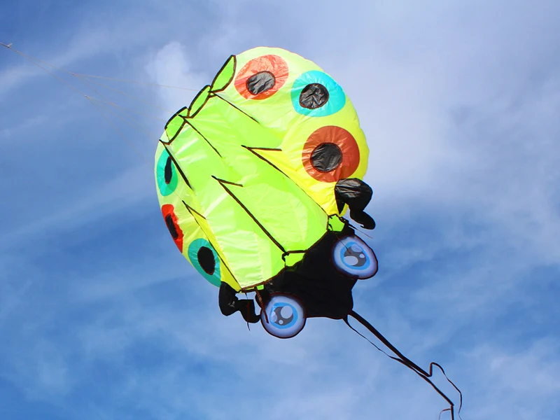 3D Large Ladybug Soft Kite - Kitesurf Designs for Kids' Outdoor Garden Fun ladybug kite