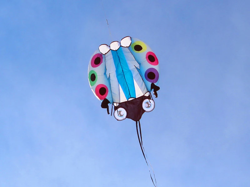3D Large Ladybug Soft Kite - Kitesurf Designs for Kids' Outdoor Garden Fun ladybug kite