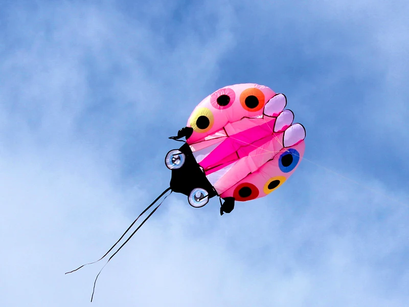 3D Large Ladybug Soft Kite - Kitesurf Designs for Kids' Outdoor Garden Fun ladybug kite