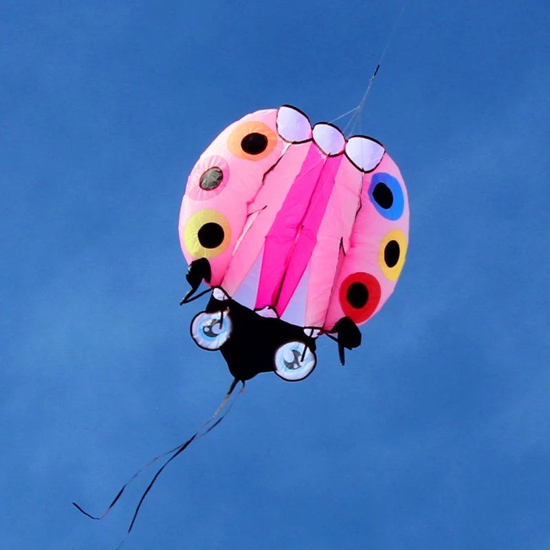 3D Large Ladybug Soft Kite - Kitesurf Designs for Kids' Outdoor Garden Fun ladybug kite